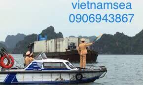 Sửa chữa cano CA50-0121 và CA50-0134 Ở Tỉnh Thành Phố Hồ Chí Minh 