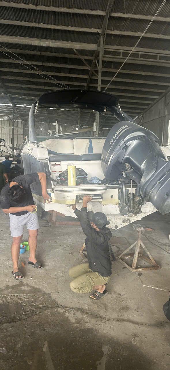 HÀ BÁM, THÂN VỎ CA NÔ BẨN – NGUYÊN NHÂN & GIẢI PHÁP XỬ LÝ HIỆU QUẢ TẠI TP.HCM | VIETNAMSEA