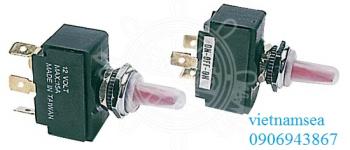 Toggle switch, lighted model