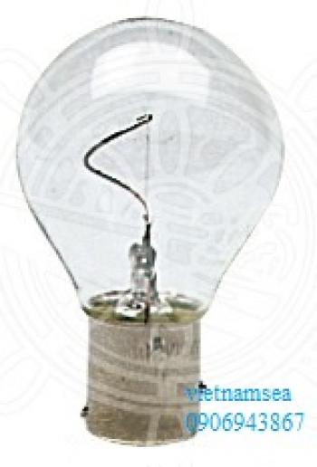 Vertical filament bulb, offset poles